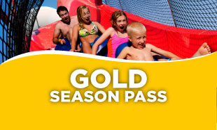 Cyber Monday Gold Pass