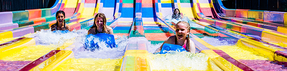 Discover the Park Services